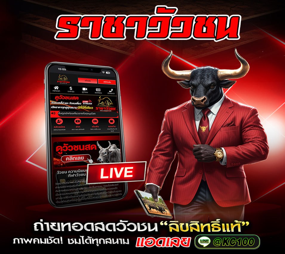วัวชนวันนี้ 20-8-2569