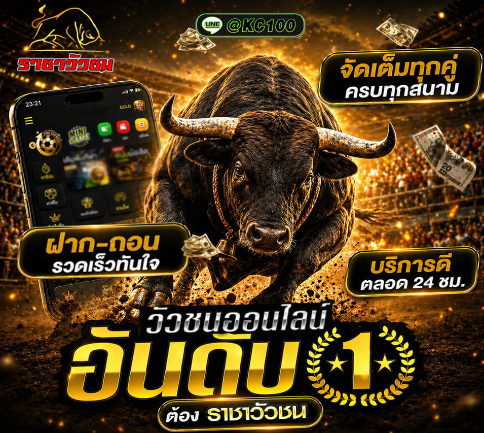 วัวชนวันนี้ 15-8-2569