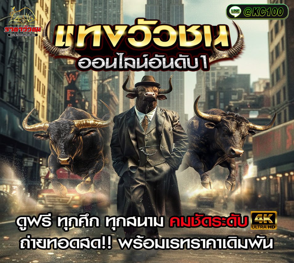 วัวชนวันนี้ 14-8-2569