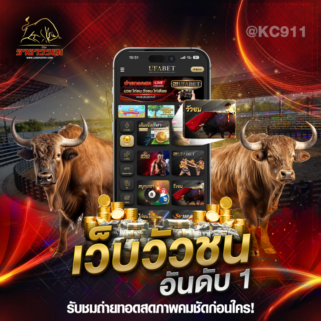 เว็บวัวชนสด