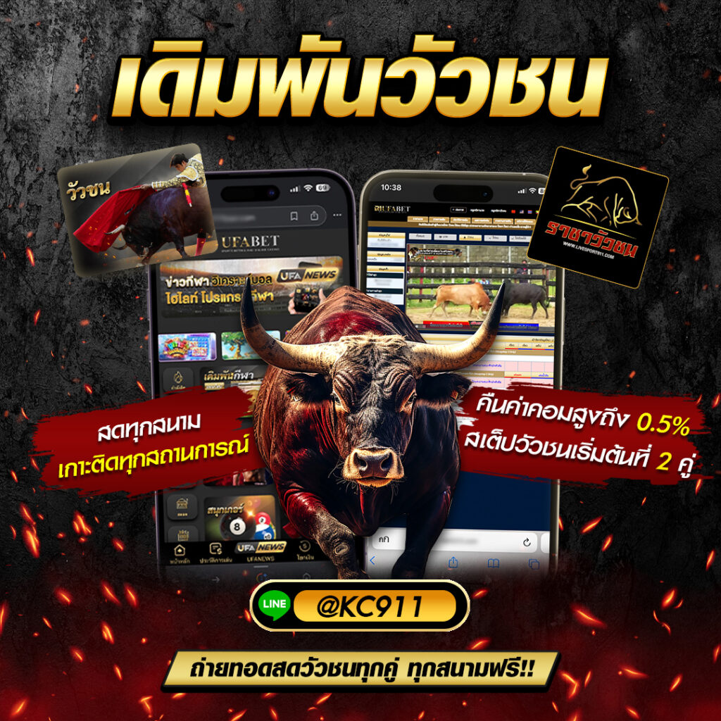 เว็บวัวชน14-5-67