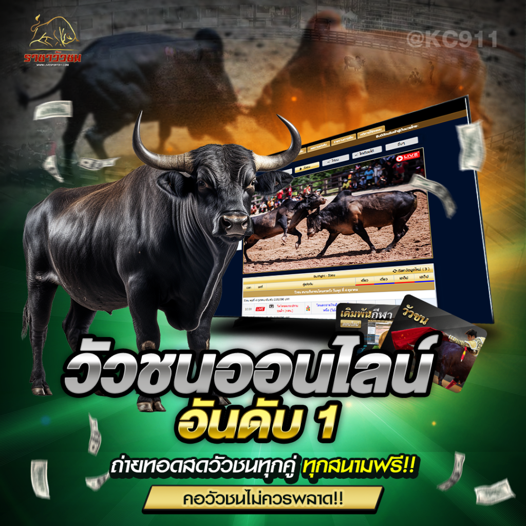 วัวชนออนไลน์30-5-67