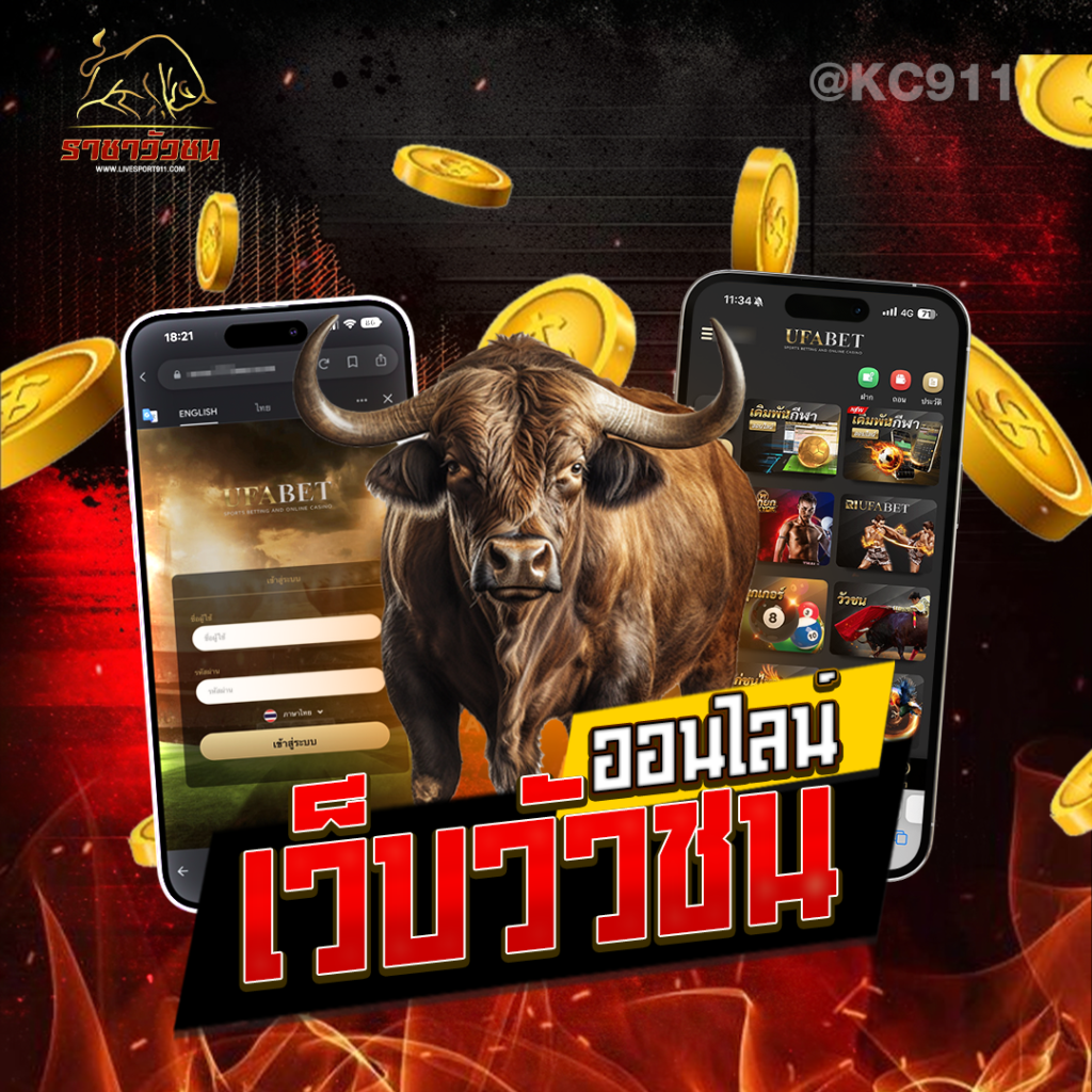  โปรแกรมวัวชน24-5-67 