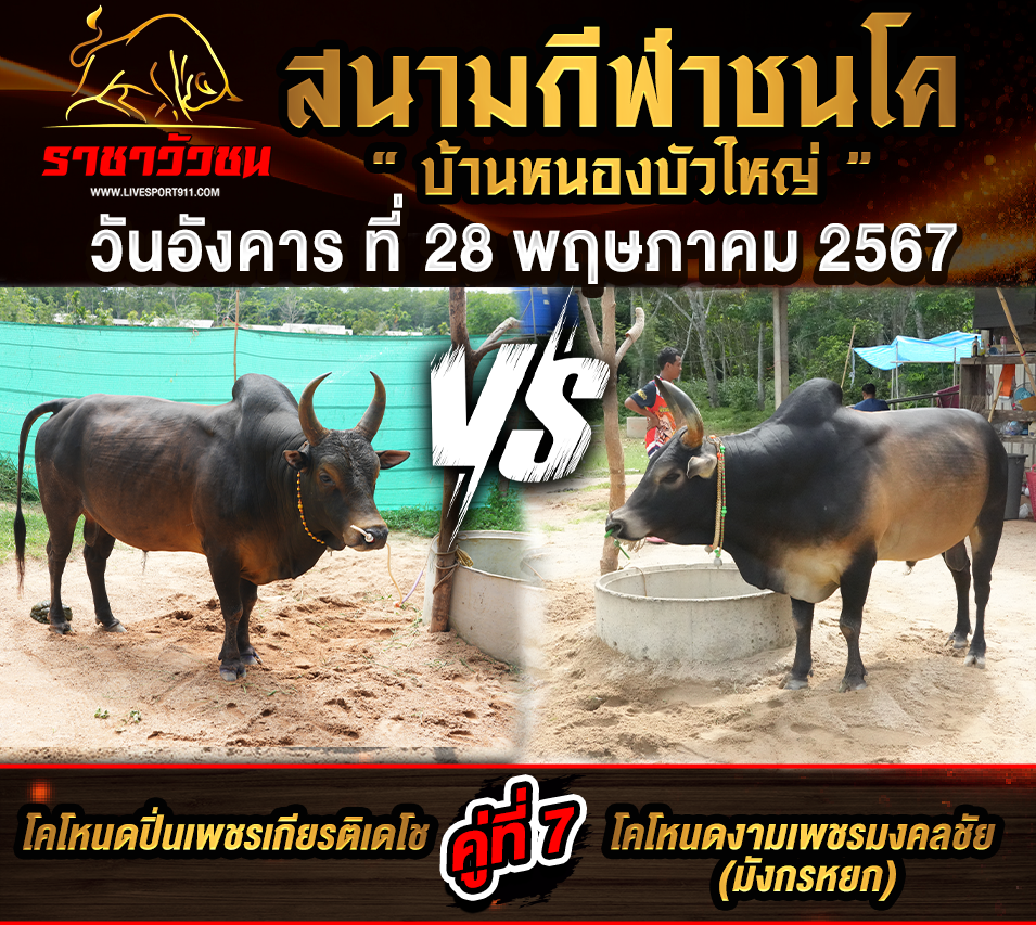 บอร์ดแคชวัว