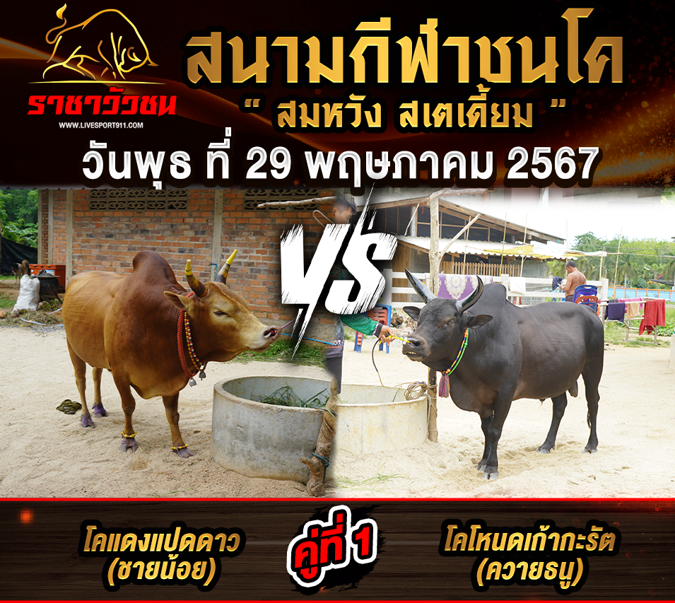โปรแกรมวัวชน29-5-67