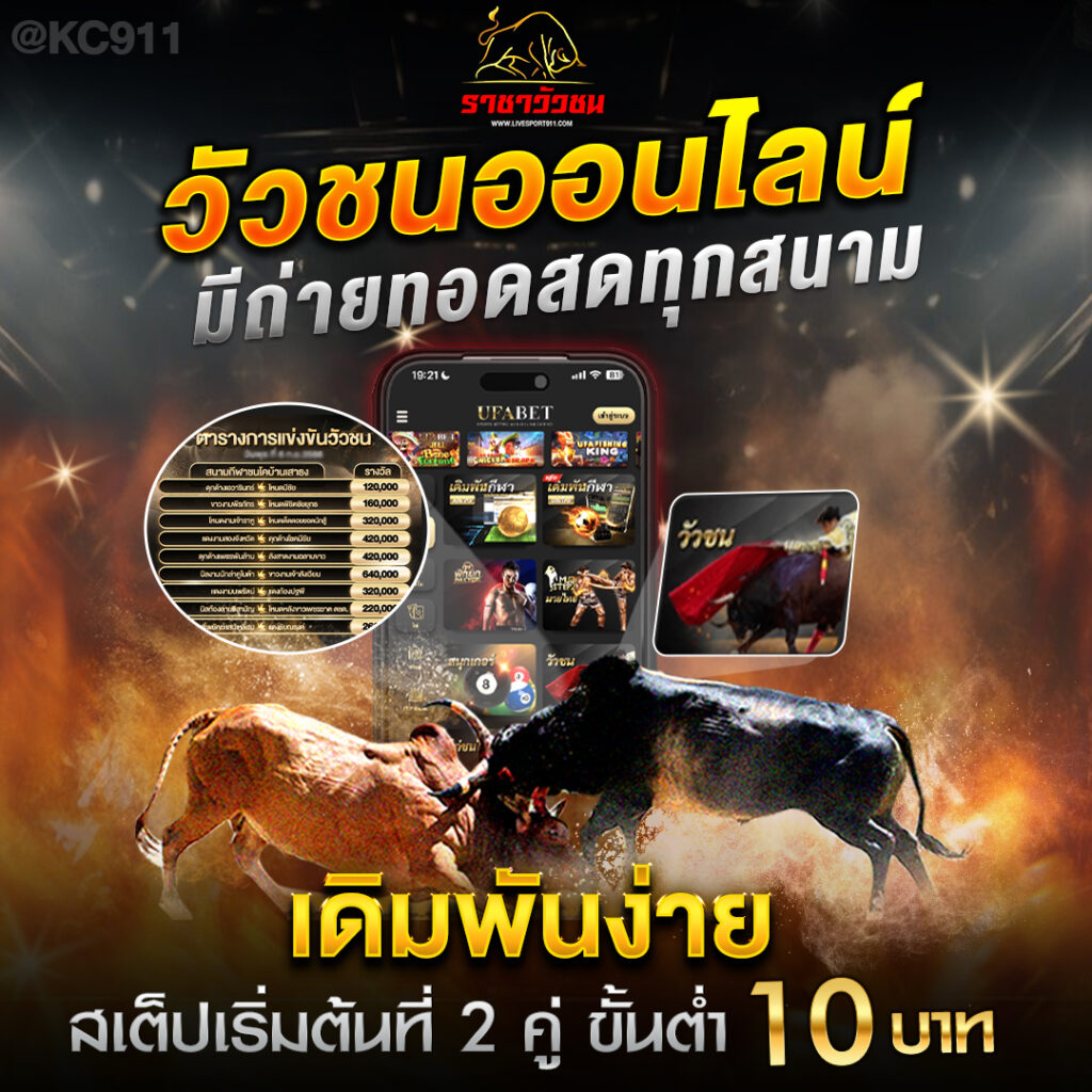 โปรแกรมวัวชน25-5-67