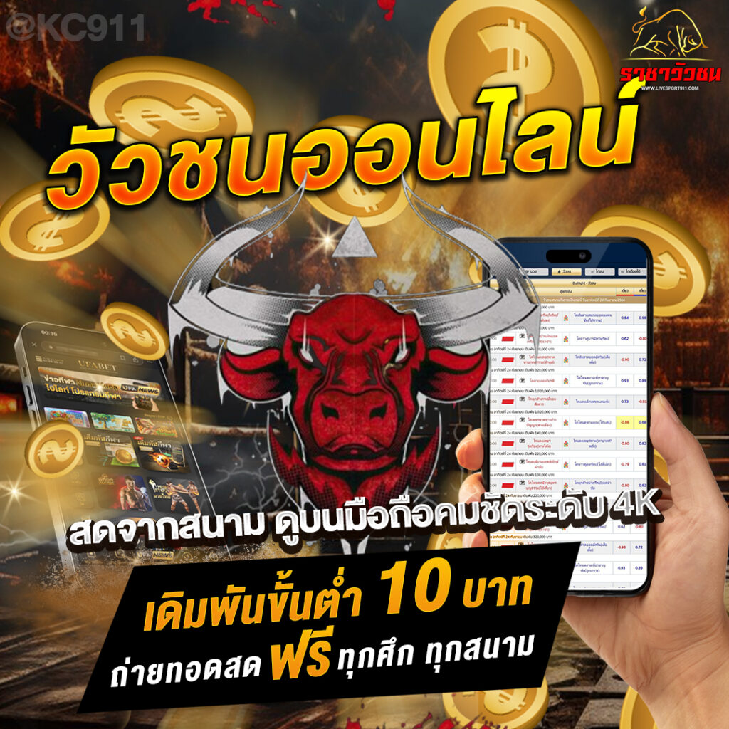 เว็บวัวชนสดออนไลน์