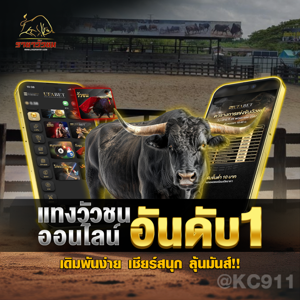 วัวชนออนไลน์04-6-67