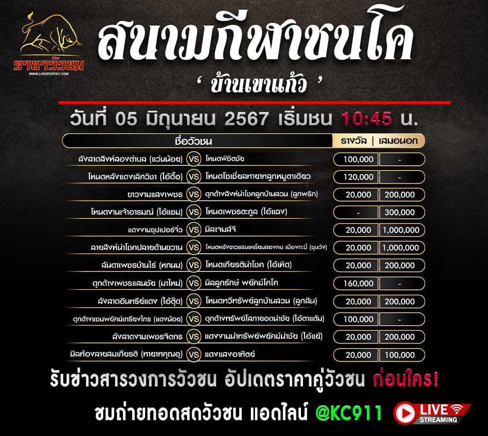 โปรแกรมวัวชน03-6-67