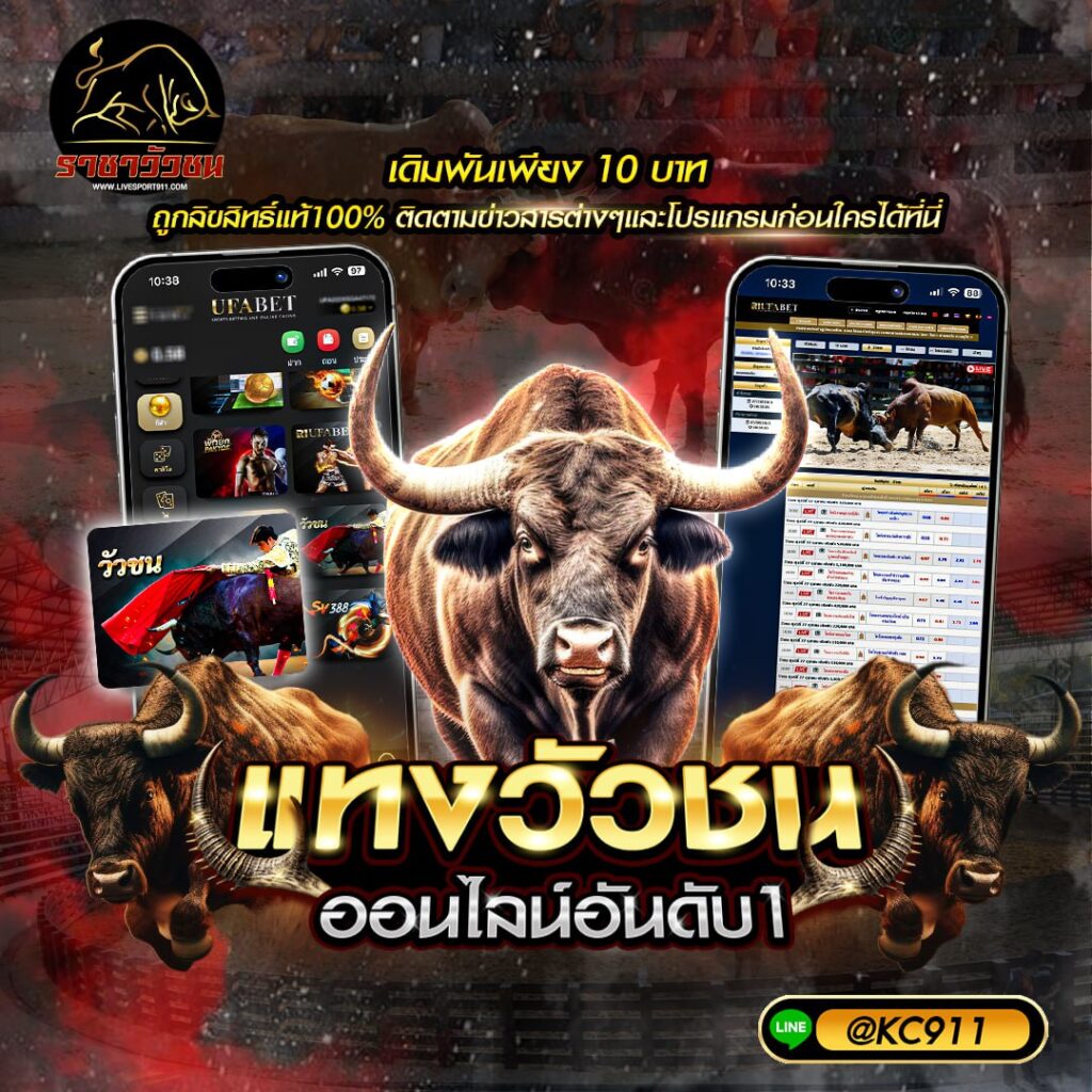 วัวชนออนไลน์10-6-67