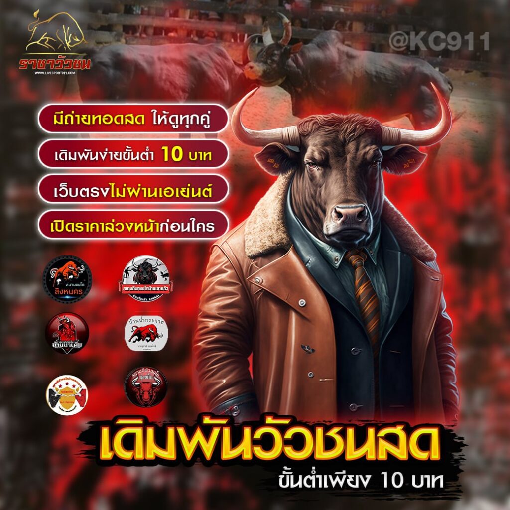 วัวชนออนไลน์ 21-6-67