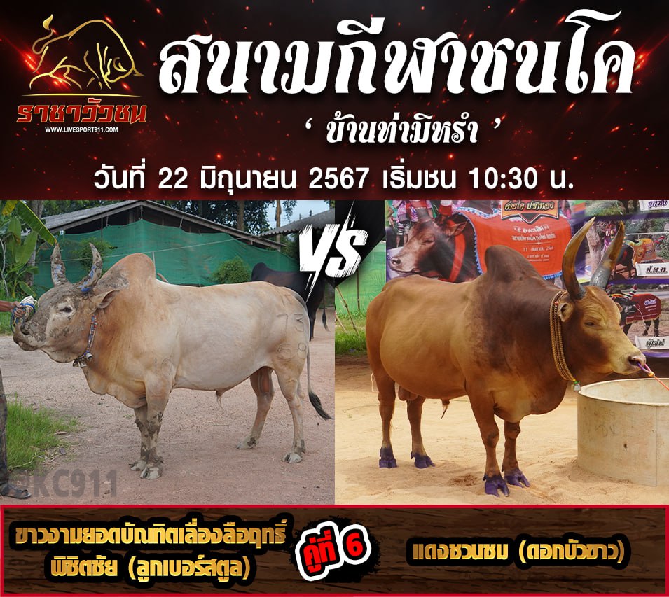 โปรแกรมวัวชน22-6-67