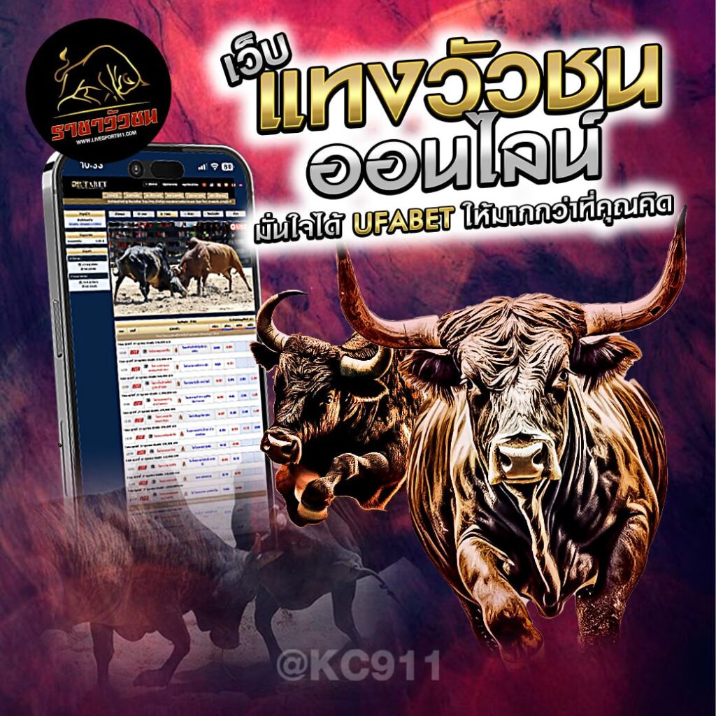 วัวชนออนไลน์ 22-6-67