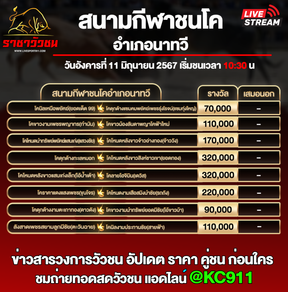โปรแกรมวัวชน09-6-67
