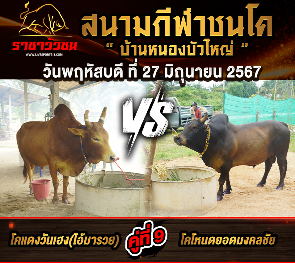 โปรแกรมวัวชน 27-6-67
