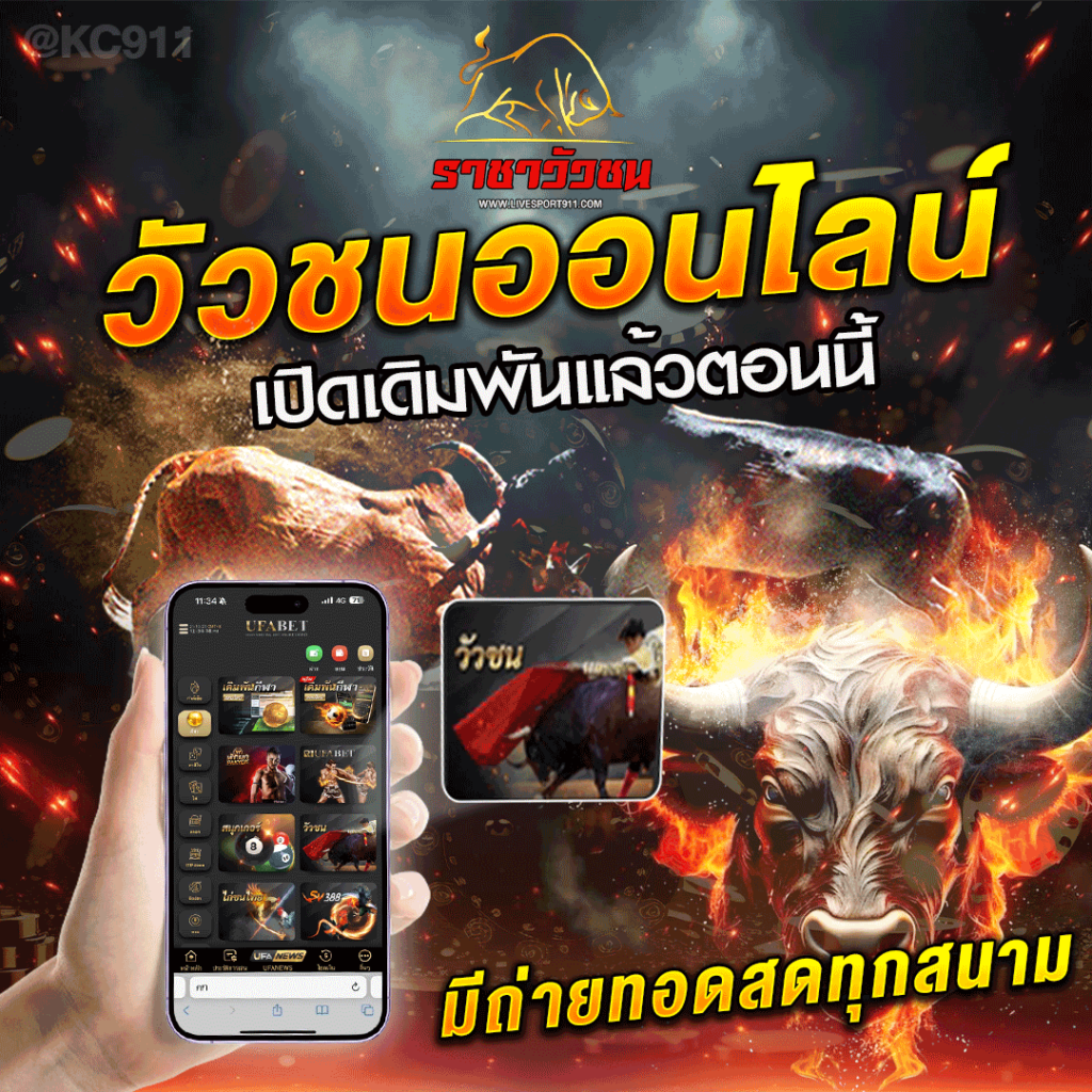 วัวชนออนไลน์03-6-67