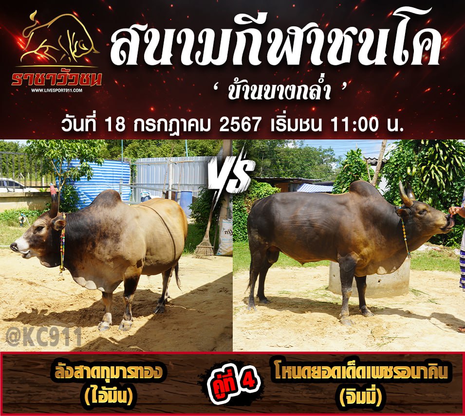 โปรแกรมวัวชน 18-7-2567