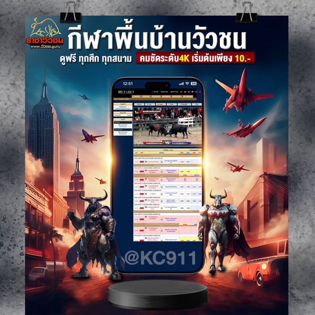 วัวชนออนไลน์ 18-7-2567