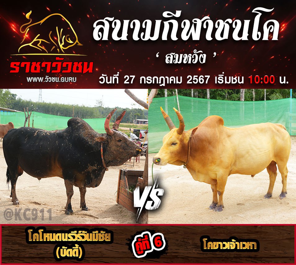 โปรแกรมวัวชน 27-7-2567
