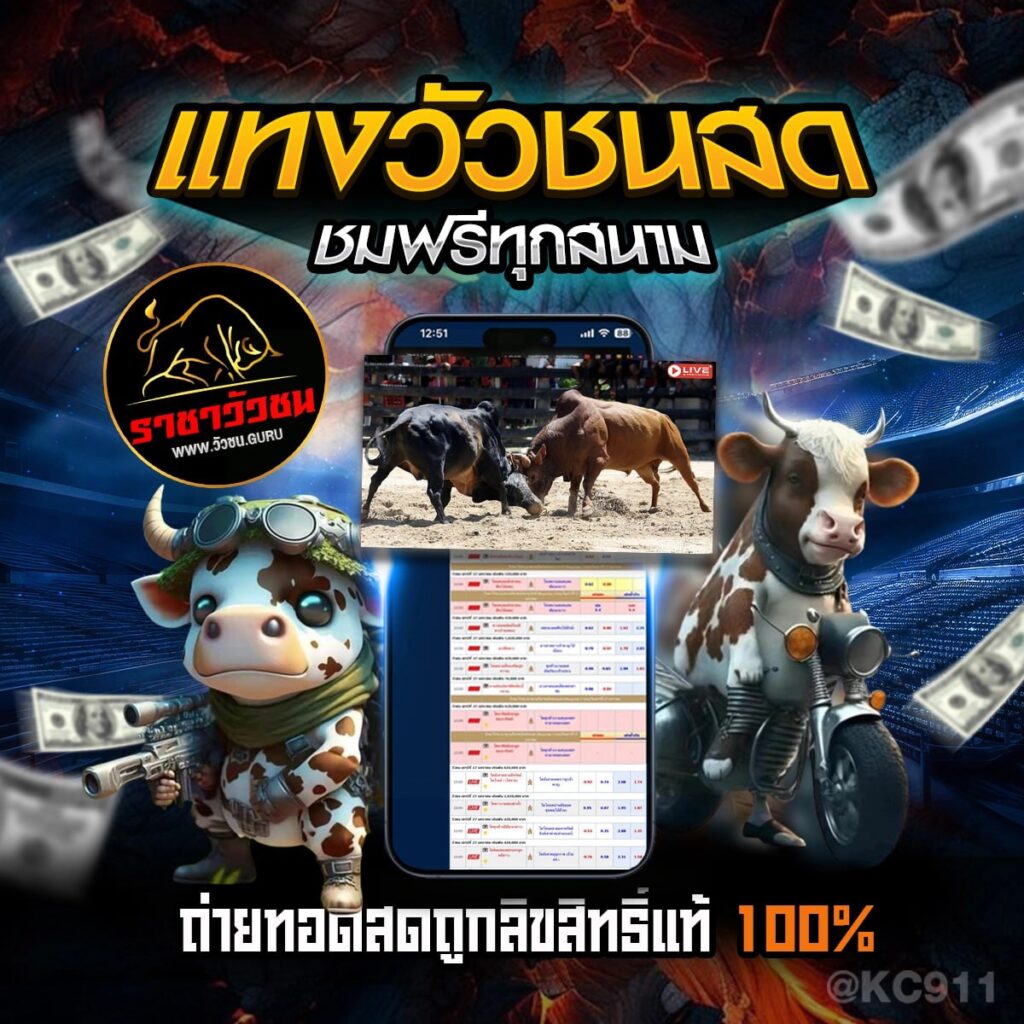 วัวชนออนไลน์ 27-7-2567