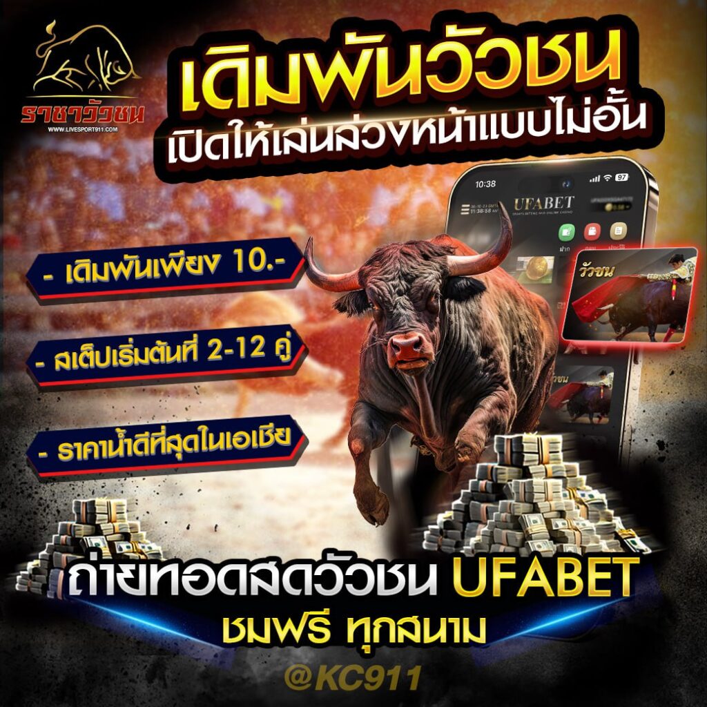 วัวชนออนไลน์ 15-7-2567