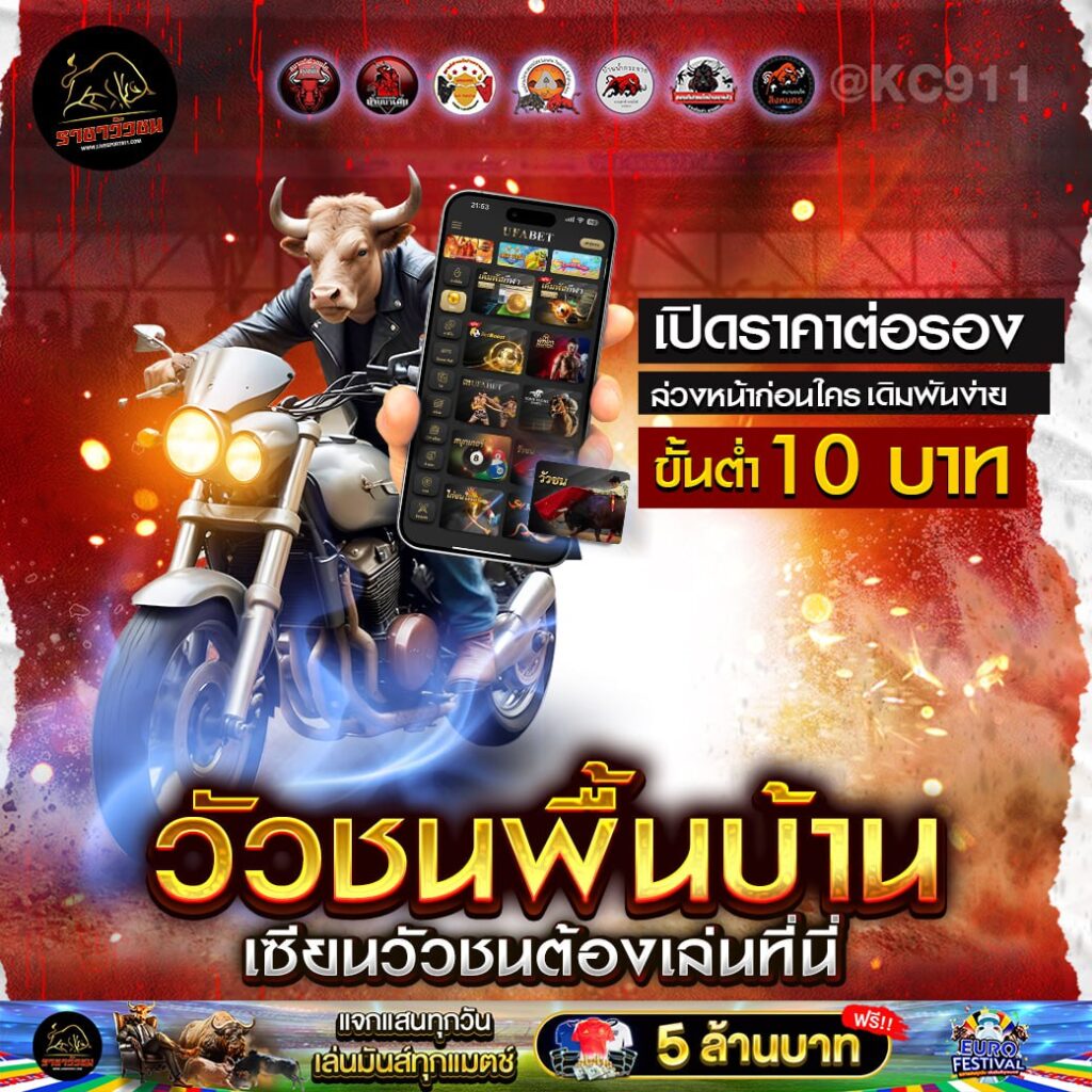 วัวชนออนไลน์ 1-7-2567