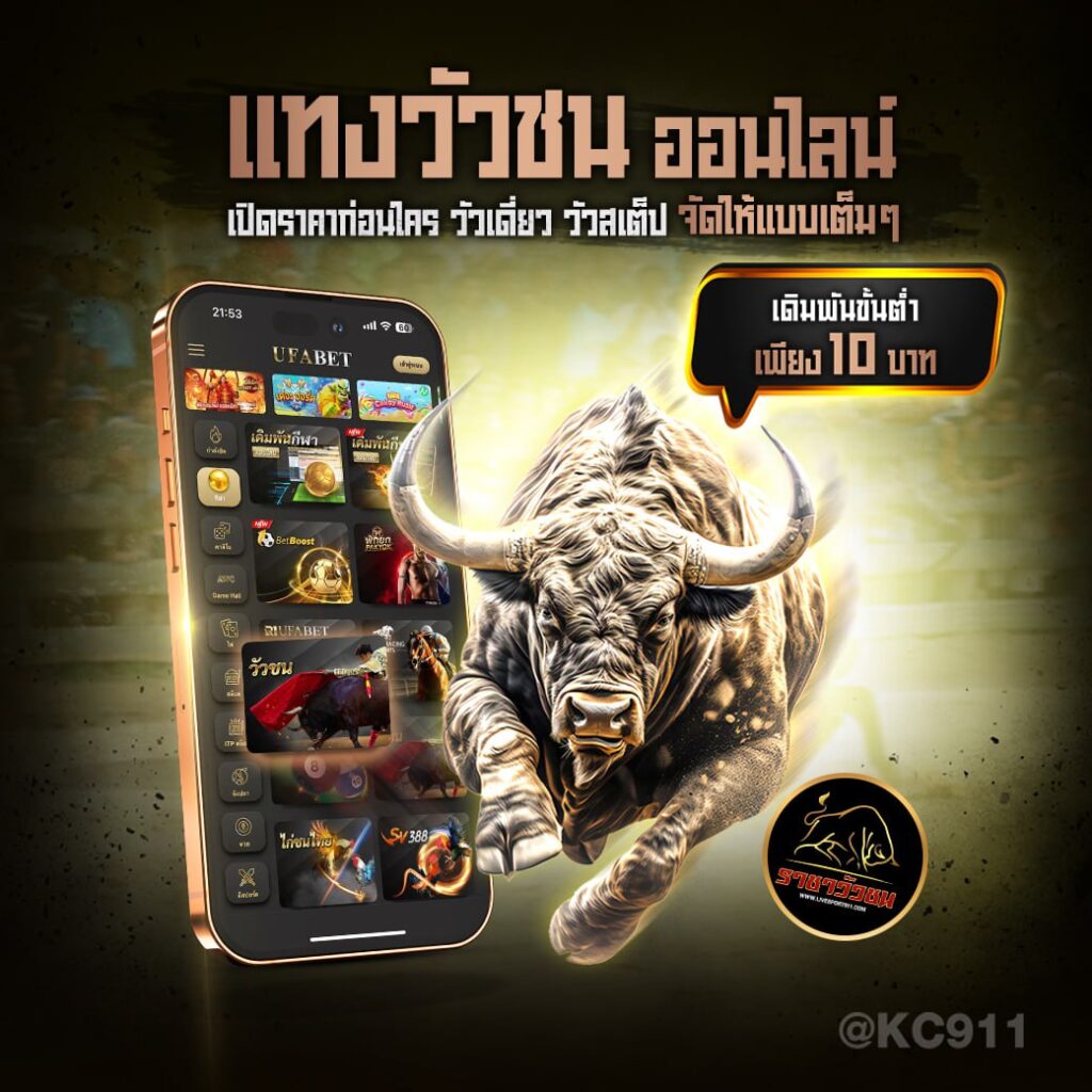 วัวชนออนไลน์ 9-7-2567