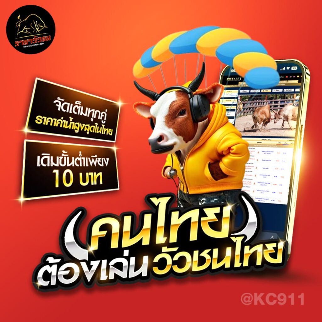 วัวชนออนไลน์ 3-7-2567