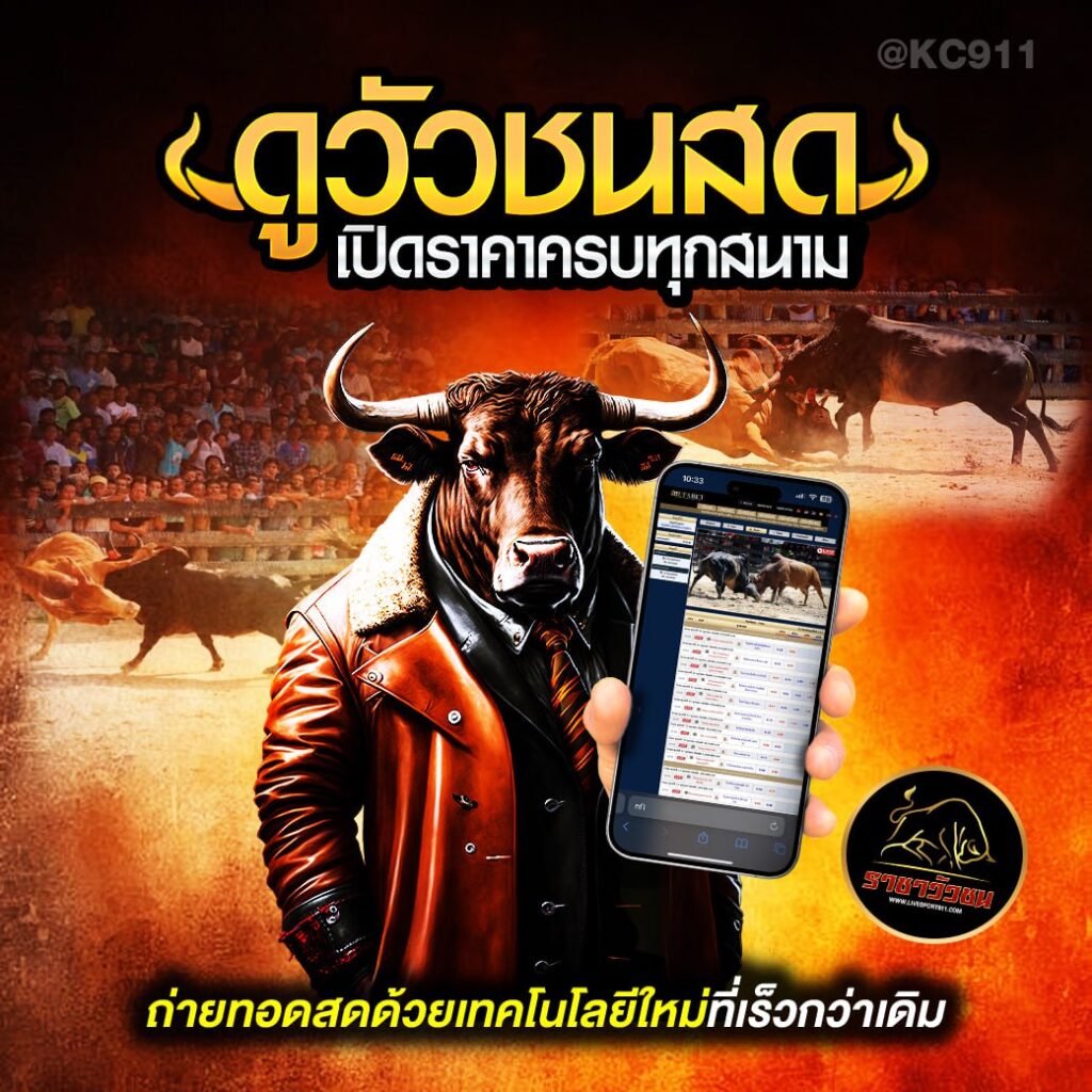 วัวชนออนไลน์ 13-7-2567