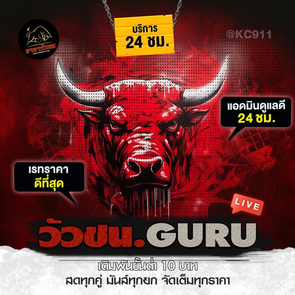 วัวชนออนไลน์ 6-7-2567