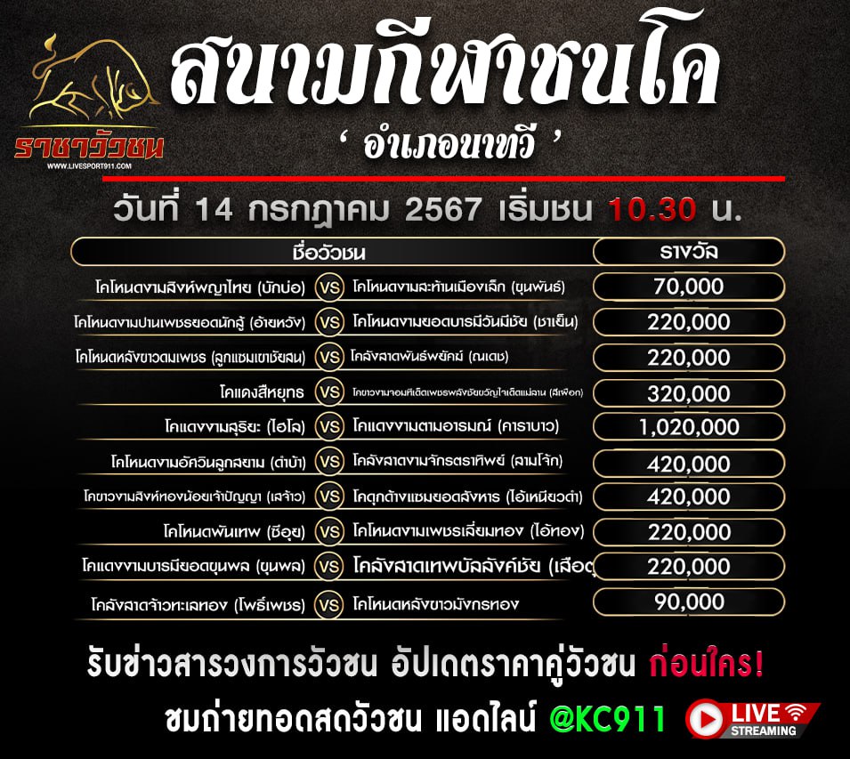 วัวชนออนไลน์ 14-7-2567