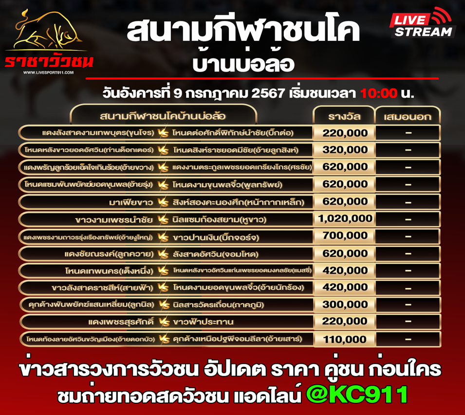 โปรแกรมวัวชน 9-7-2567