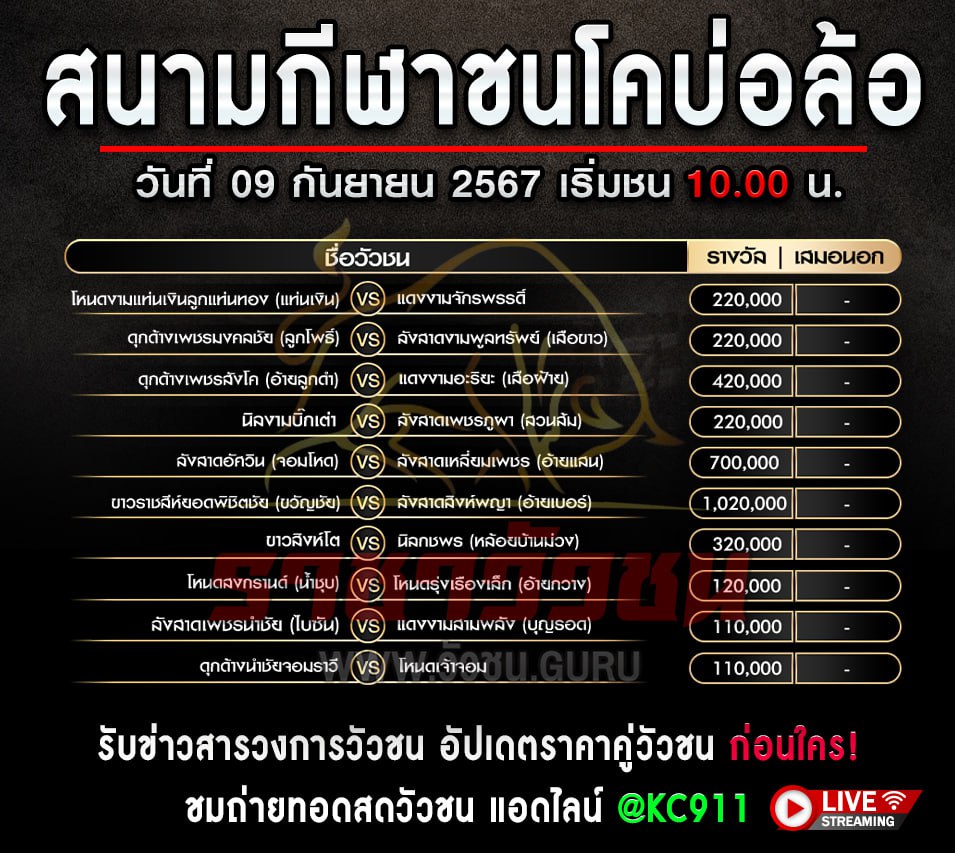 โปรแกรมวัวชน 9-9-2567