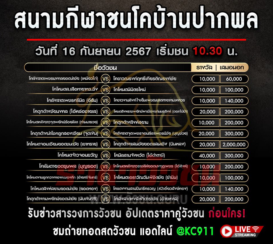 โปรแกรมวัวชน 16-9-2567