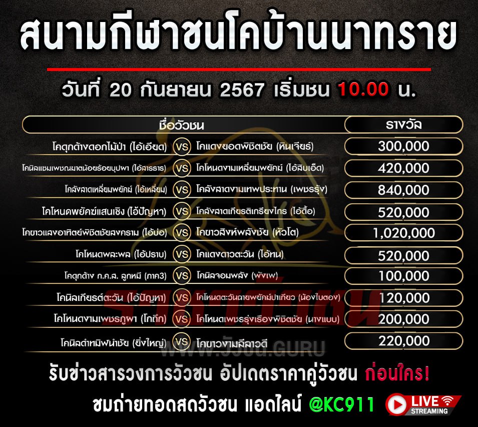 โปรแกรมวัวชน 20-9-2567