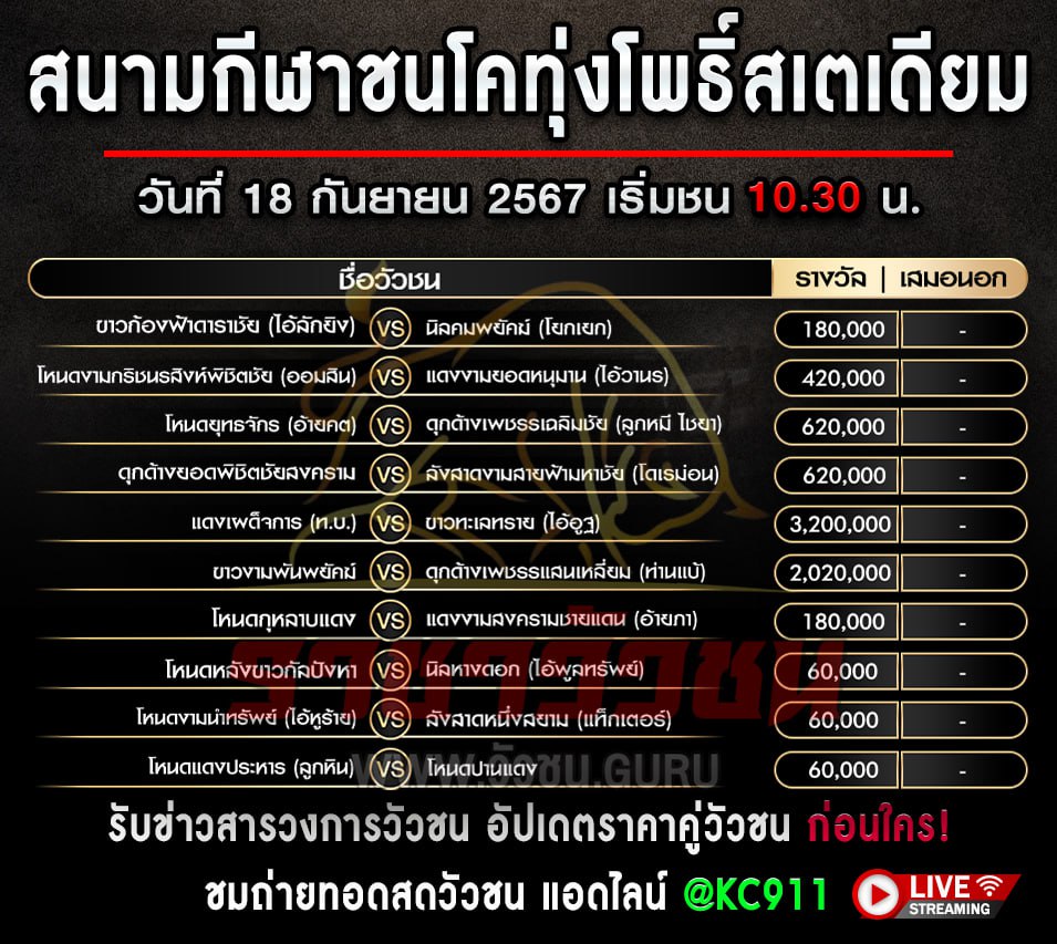 โปรแกรมวัวชน 18-9-2567