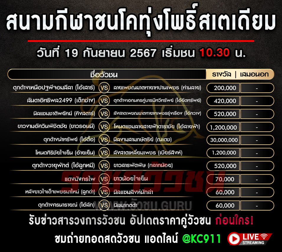 โปรแกรมวัวชน 19-9-2567