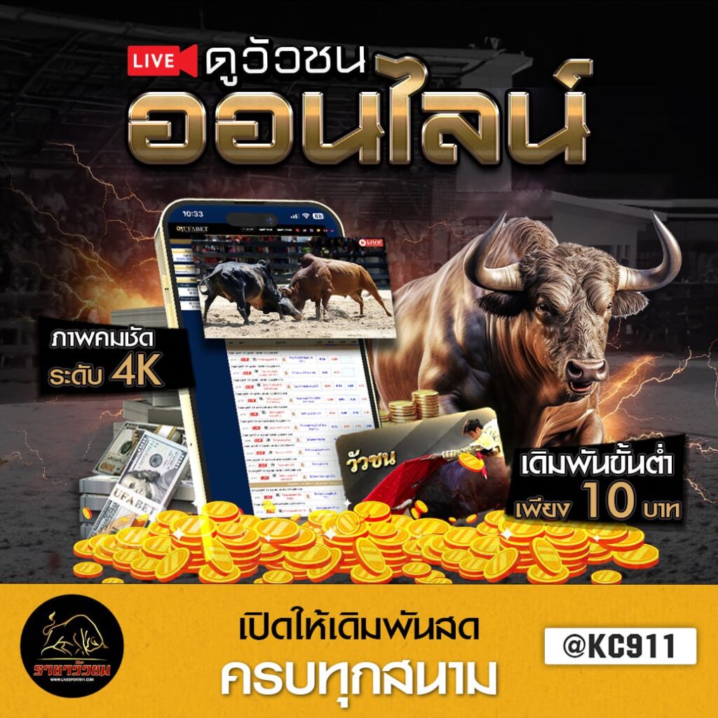 วัวชนออนไลน์ 18-9-2567