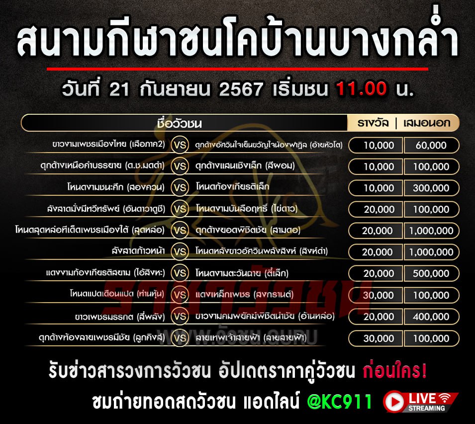 โปรแกรมวัวชน 21-9-2567