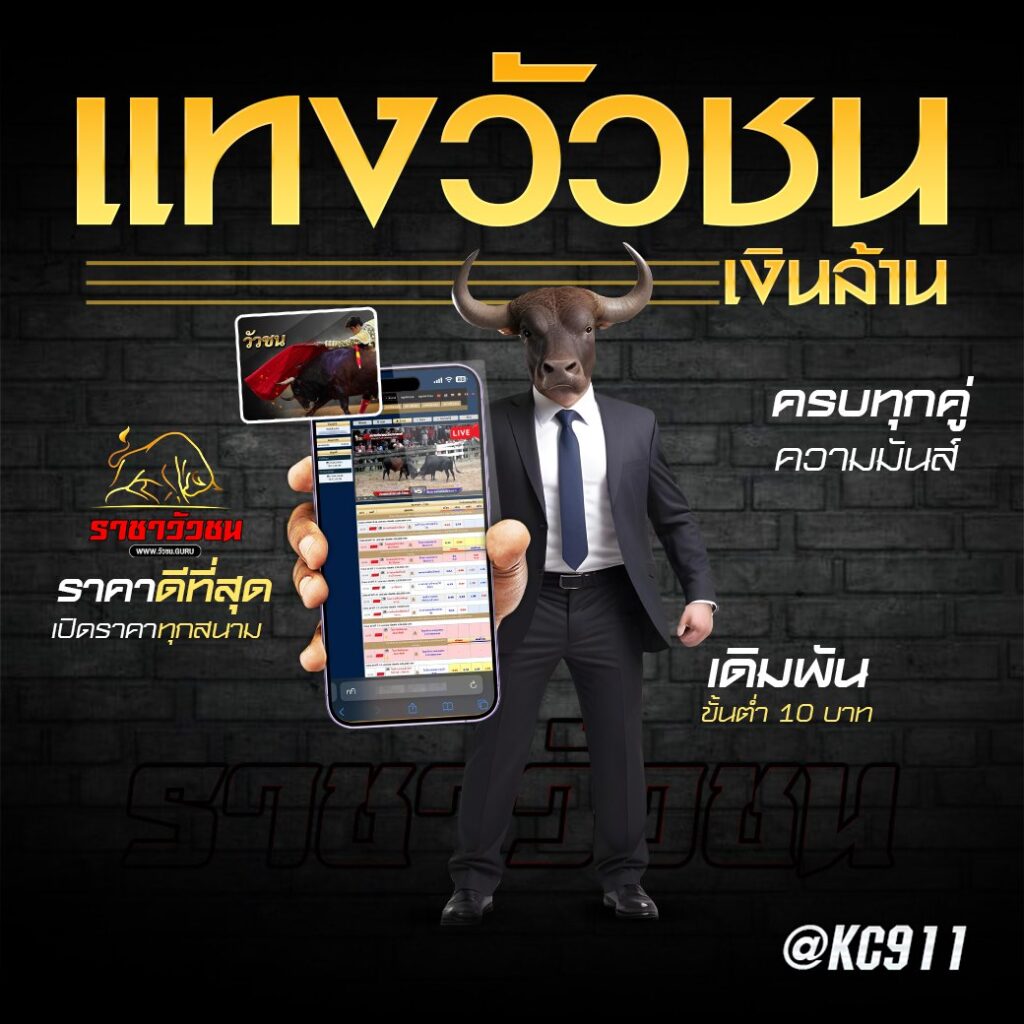 วัวชนออนไลน์ 19-9-2567