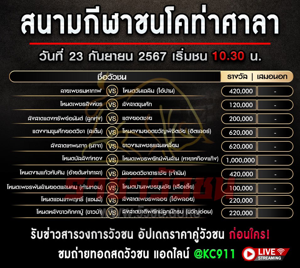 โปรแกรมวัวชน 23-9-2567