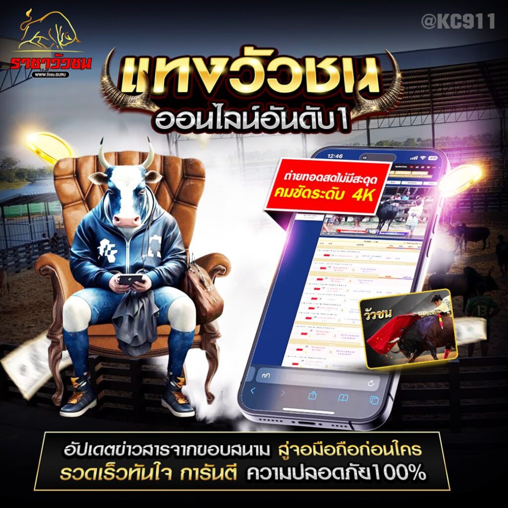 วัวชนออนไลน์ 25-9-2567