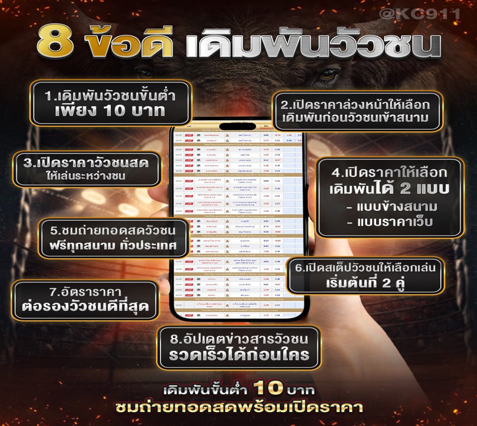 วัวชนออนไลน์ 26-9-2567
