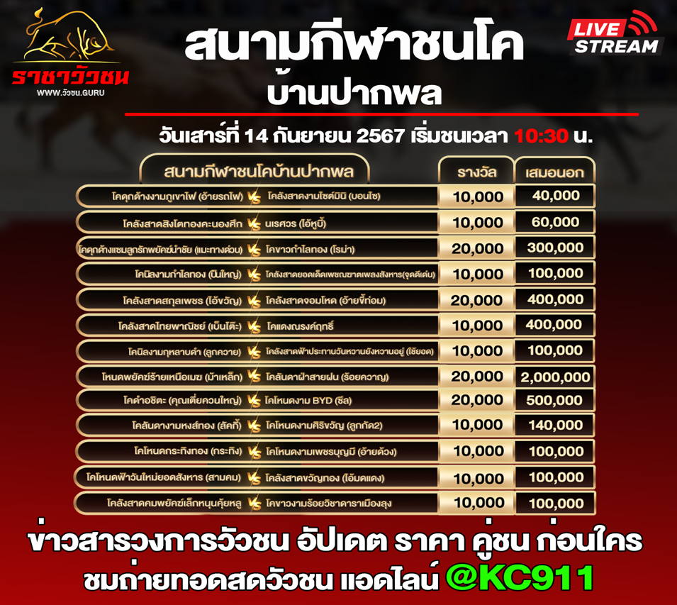 โปรแกรมวัวชน 14-9-2567