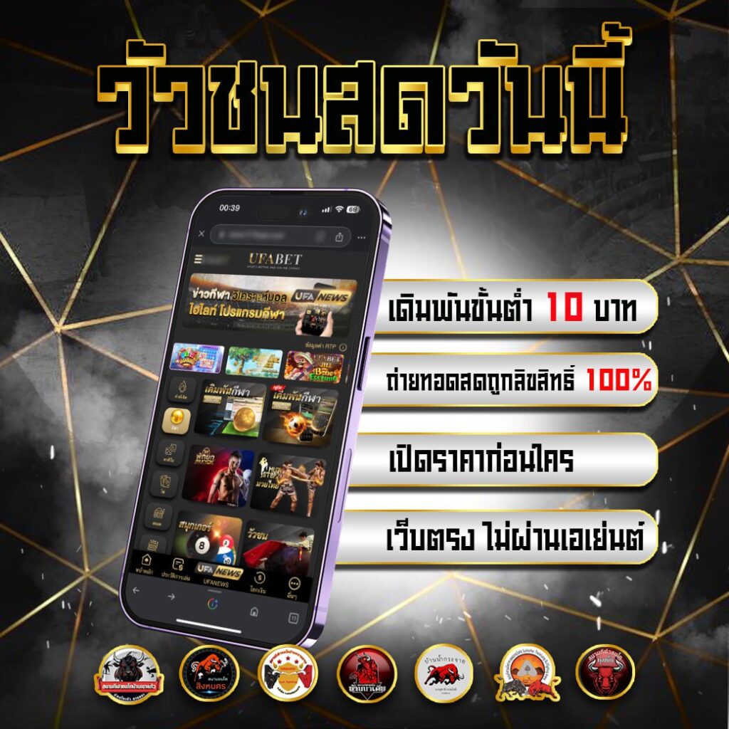 วัวชนออนไลน์ 5-10-2567