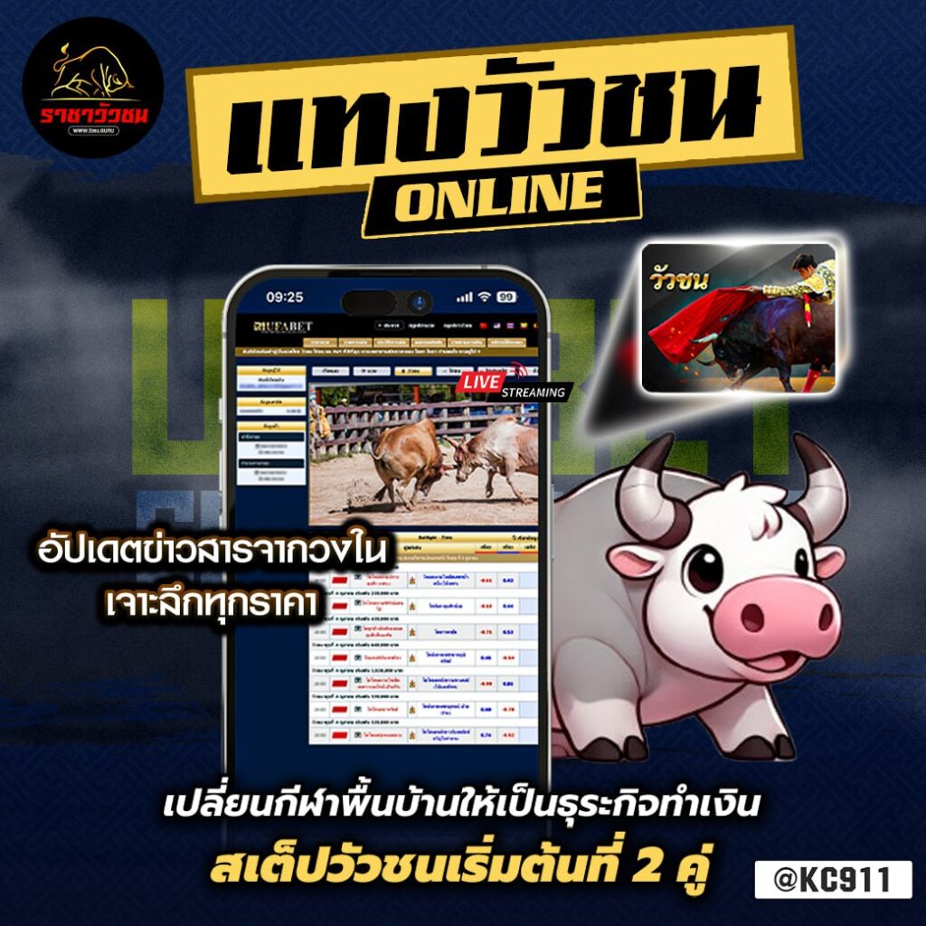 วัวชนออนไลน์ 7-10-2567