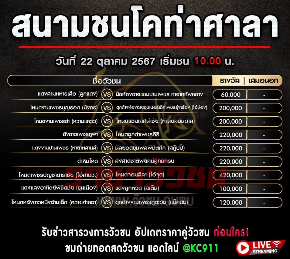 โปรแกรมวัวชน 22-10-2567