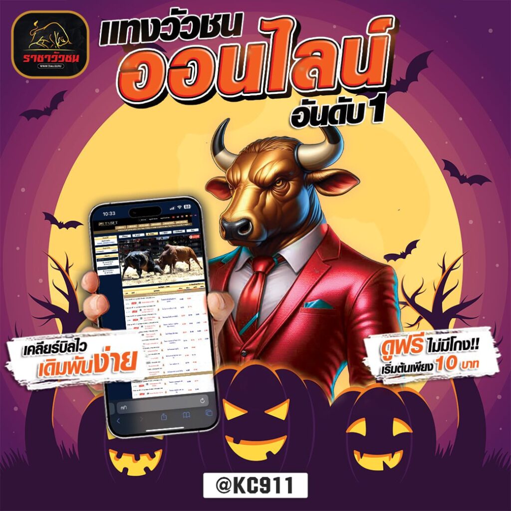 วัวชนออนไลน์ 22-10-2567