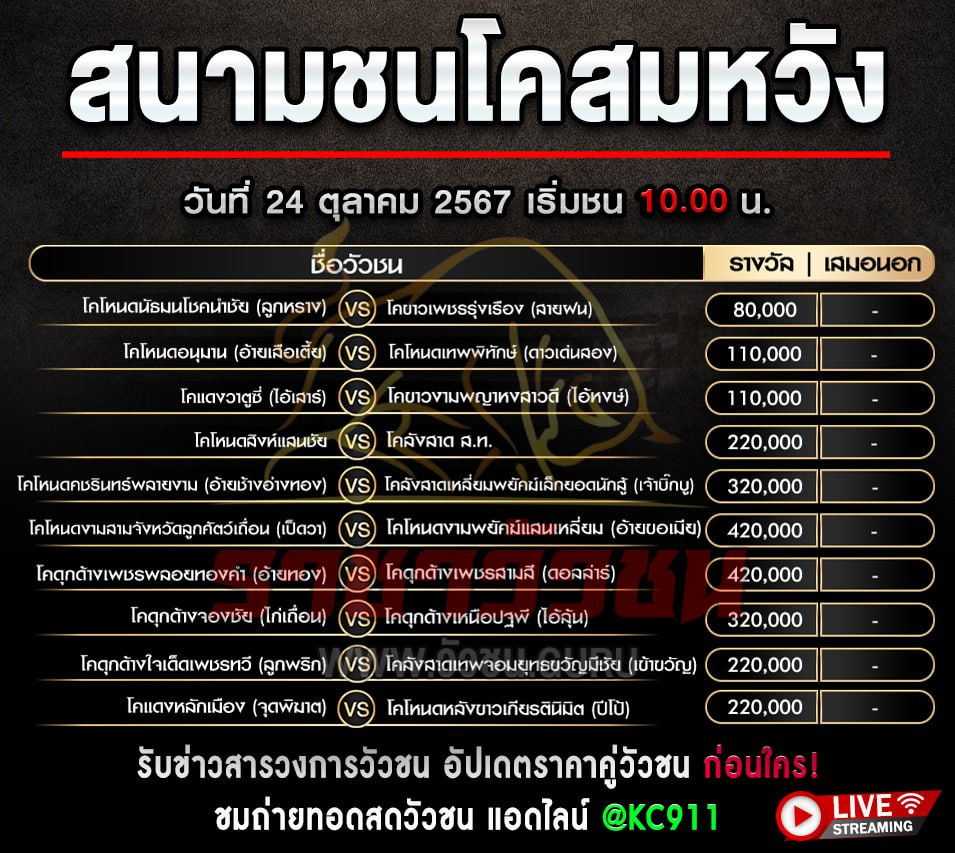 โปรแกรมวัวชน 24-10-2567
