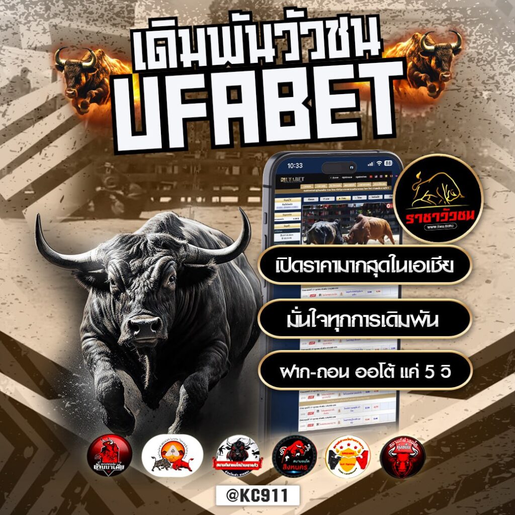 วัวชนออนไลน์ 26-10-2567